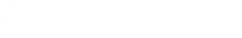 Chief AI Officer Logo